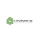 Стройсинтез