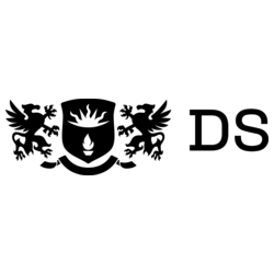 DS Consulting