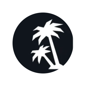 Hollywood car detailing