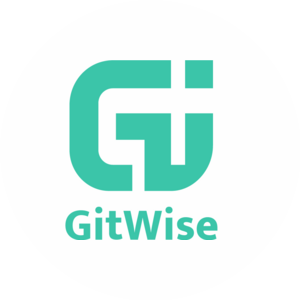 GITWISE (ООО ЦТП)