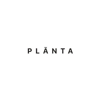 PLANTA BERRIES