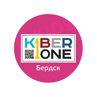 Kiberone (ИП Лунева Ольга Валерьевна)