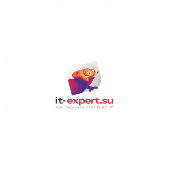IT-Expert