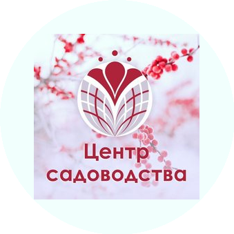 Ткачев Олег Магомедович