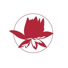 Белый Лотос