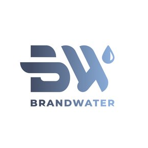 Бренд Вотер