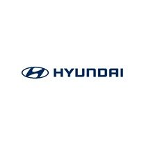 Hyundai Turkestan
