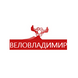 Веловладимир