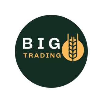 Big Trading