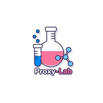 ProxyLab