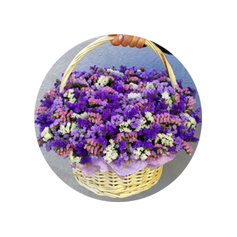 Павлова Ксения Алексеевна