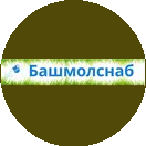 Башмолснаб