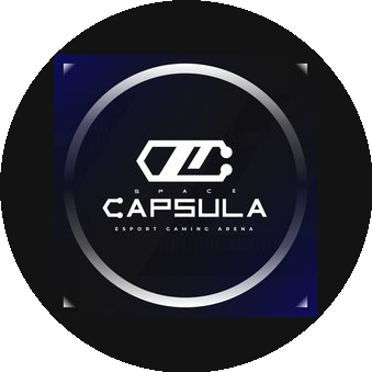 Сеть компьютерных клубов Space CAPSULA