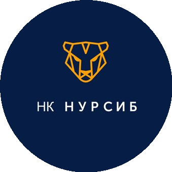 Нефтяная Компания Нурсиб