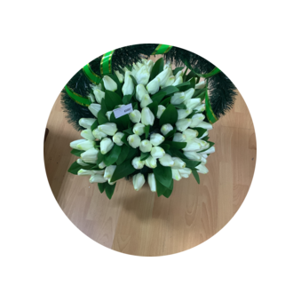 Сафронова Мария Александровна