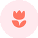 Flowwow