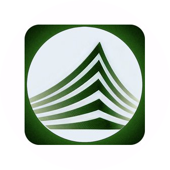 Капитал-аудит