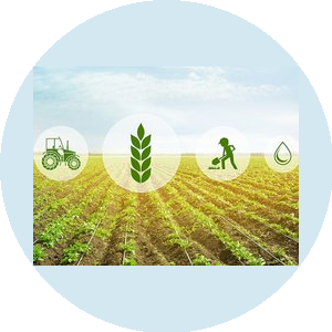 Управляющая компания Родное поле