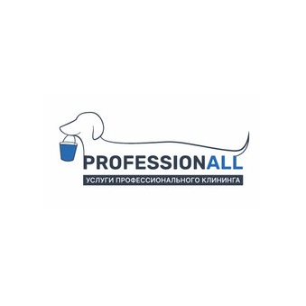 Профессионалл