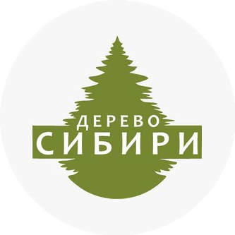 Орлов Илья Сергеевич