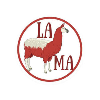 Образовательный центр Lama (Палунина Алина Николаевна)