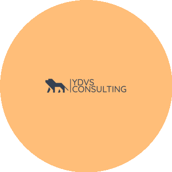 YDVS iGaming Consulting