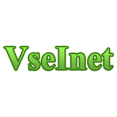 VseInet, Интернет - магазин