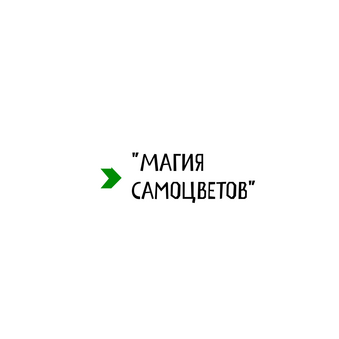 Олейник Вячеслав Валетинович