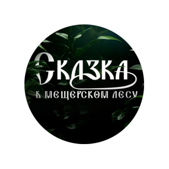 Козлова Татьяна Валерьевна