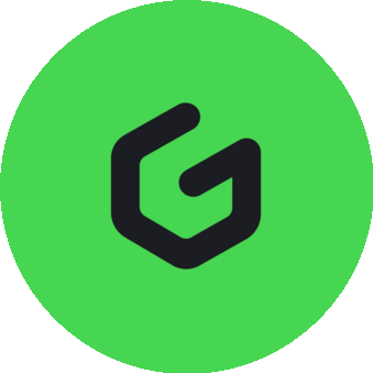 GGSel (ИП Николаев Дмитрий Николаевич)