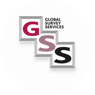 Глобал сюрвей сервисес
