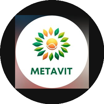 MetaVit
