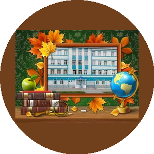 МБОУ СОШ № 100 им. Ю. Г. Заплатина