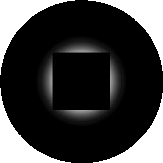 Полежаев Никита Игоревич