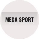 МегаФирм, ЧП