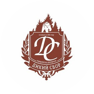 Дикий Сбор СПб
