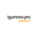Igumnov pro remont