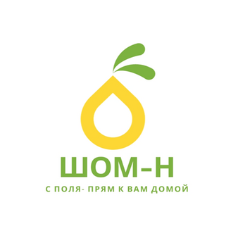 ШОМ-Н