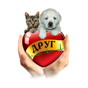 Ветклиника Друг