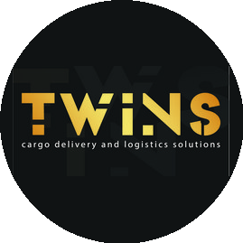 Твинс Интернешнл Групп