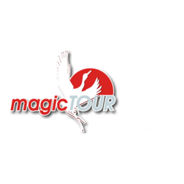 Мейджик тур