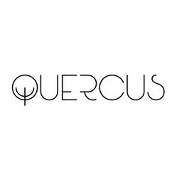 Колесникова Анна Евгеньевна