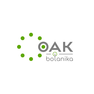Коворкинг Ботаника