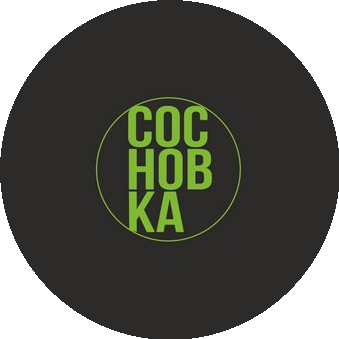 Онлайн-академия Сосновка