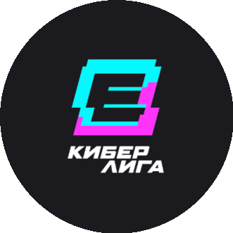 АНО Профессиональная Киберспортивная Лига