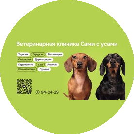 Сами с усами