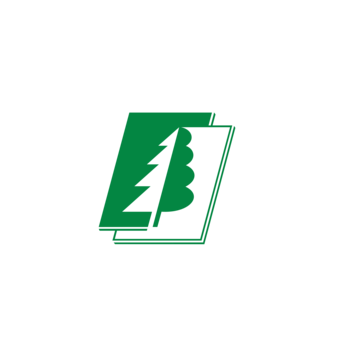 Сыктывкарский фанерный завод