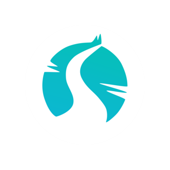 Сталкер-Медиа