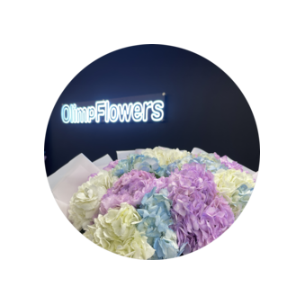 Olimp Flowers