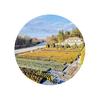 КФХ СамсоненкоЛэнд